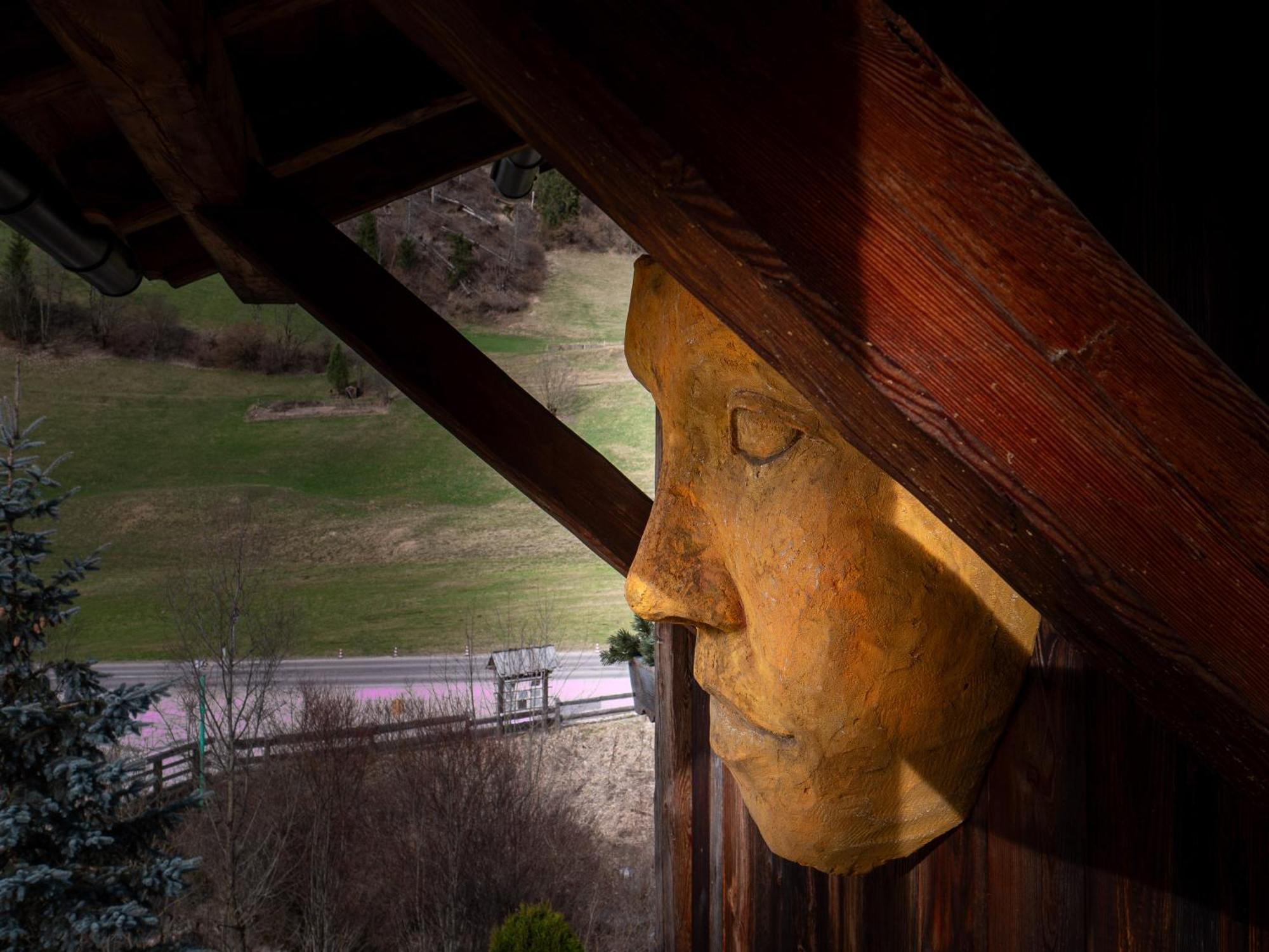Alpine Mountain Chalet St. Vigil Exterior foto